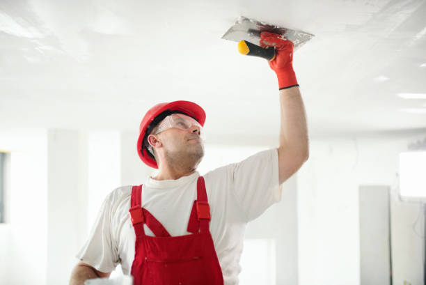 Best Water-Damaged Drywall Repair  in Hemlock, MI